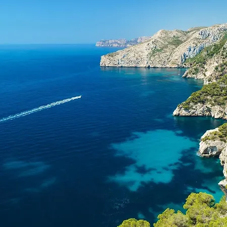 Bombon Javea